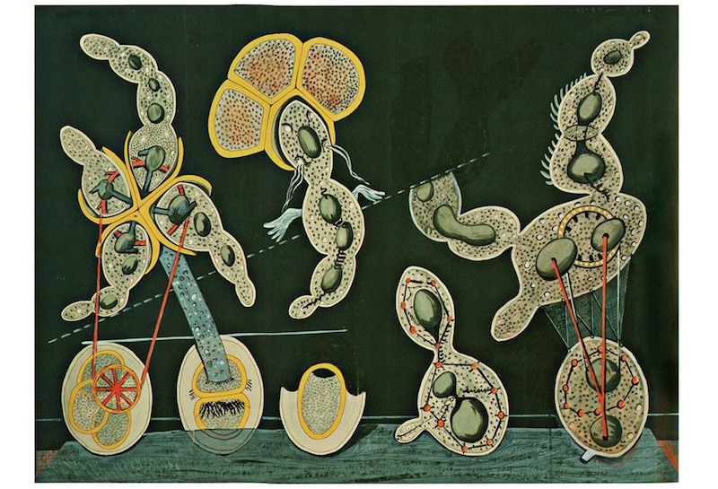 Max Ernst, The Gramineous Bicycle Garnished with Bells the Dappled Fire Damps and the Echinoderms Bending the Spine to Look for Caresses (c. 1921). Gouache, ink, and pencil on printed paper on paperboard, The Museum of Modern Art, New York City.